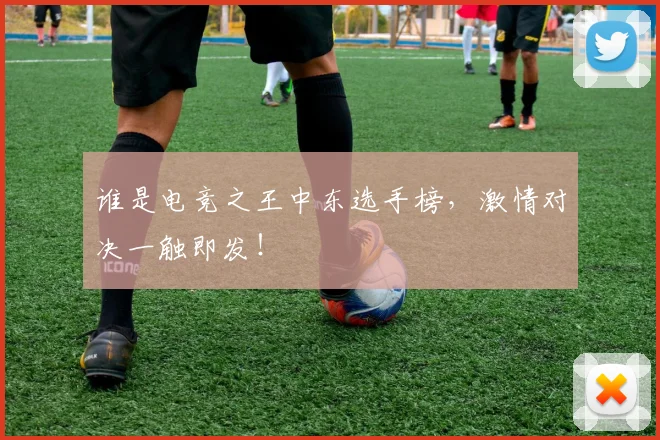 谁是电竞之王中东选手榜，激情对决一触即发！
