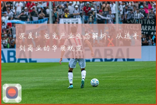 深度！电竞产业生态解析，从选手到商业的华丽蜕变