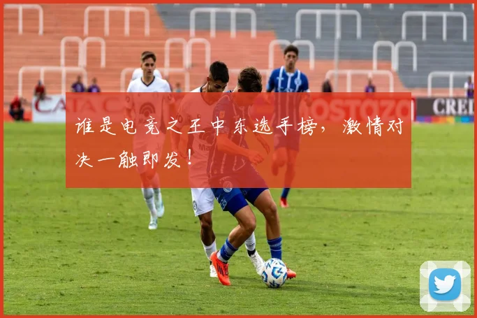 谁是电竞之王中东选手榜，激情对决一触即发！
