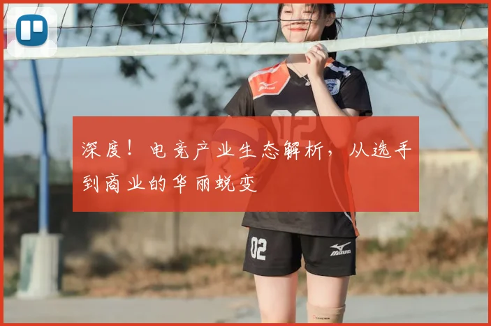 深度！电竞产业生态解析，从选手到商业的华丽蜕变